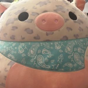 Big Rosie bandana-pig no tag also am open to offers